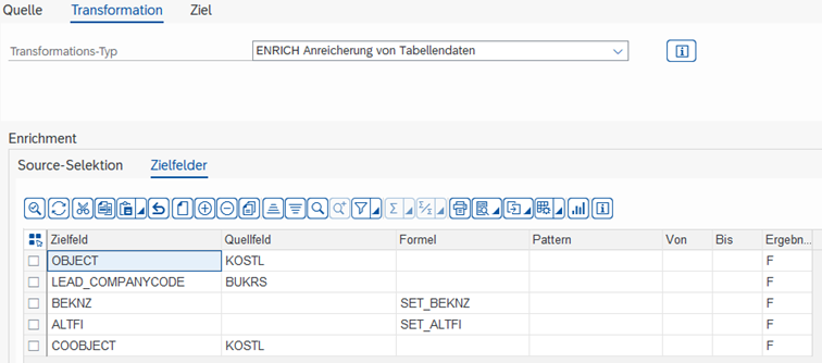 ENRICH Target Fields Tab